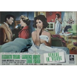 Butterfield 8 Italian fotobusta movie poster set - illustraction Gallery
