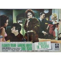 Butterfield 8 Italian fotobusta movie poster set - illustraction Gallery