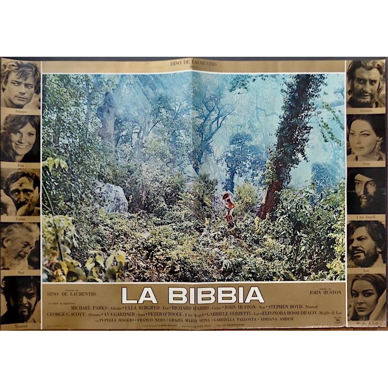 Bible (Italian 1F style B)