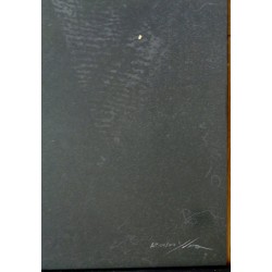 Dirty Harry limited edition print by Yvan Quinet - illustraction Gallery