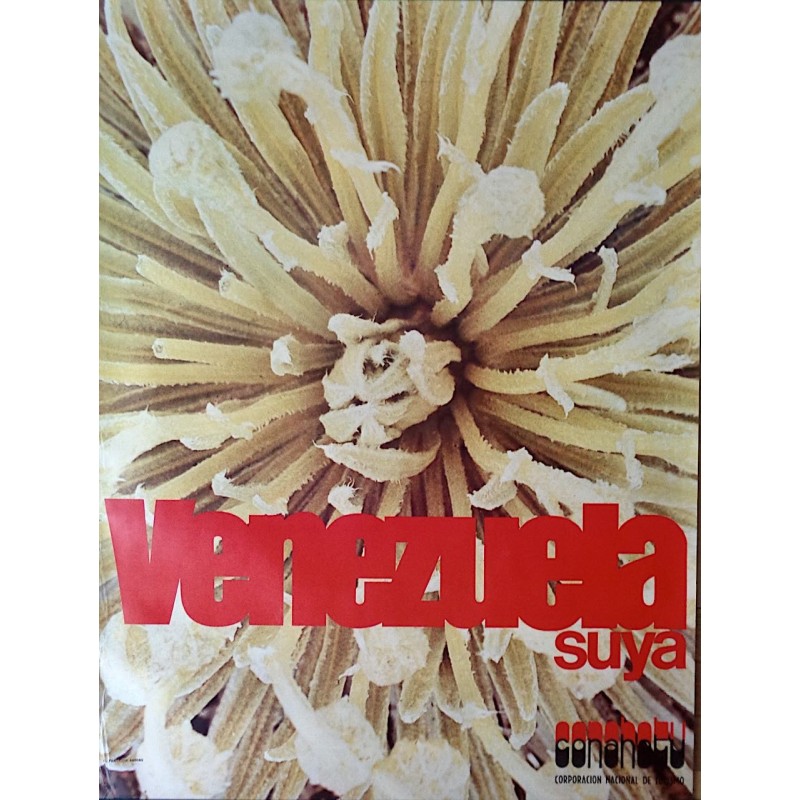 Venezuela Suya: El frailejon andino (1974)