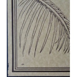 The Eagles and Jimmy Buffet 1979 Hawaii concert poster - illustraction Gallery