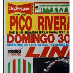 Linda Ronstadt 1984 Pico Rivera concert poster - illustraction Gallery