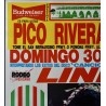 Linda Ronstadt 1984 Pico Rivera concert poster - illustraction Gallery