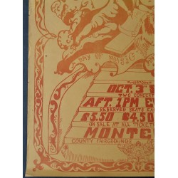 Big Sur 1970 Festival concert poster - illustraction Gallery