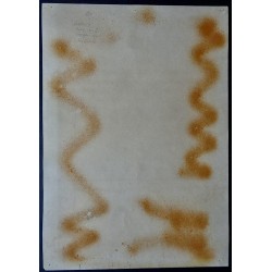 Frank Zappa Fillmore West BG 27 concert poster - illustraction Gallery