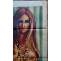 Langues s... Italian movie poster - illustraction Gallery