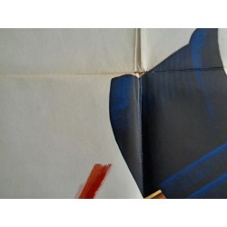 The Professionals Italian movie poster - illustraction Gallery