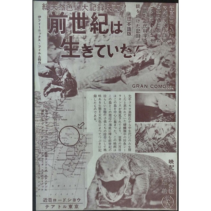 Gran Comora (Japanese Ad)