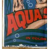 Aqua Sex (The Mermaids of Tiburon) one sheet movie poster - illustraction Gallery