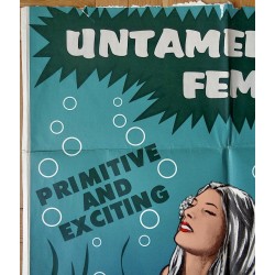 Aqua Sex (The Mermaids of Tiburon) one sheet movie poster - illustraction Gallery