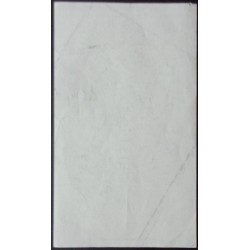 Rita Coolidge 1973 Vancouver concert handbill by Bob Masse - illustraction Gallery