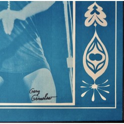 Ike And Tina Turner original 1971 Ann Arbor concert poster by Gary Grimshaw - illustraction Gallery