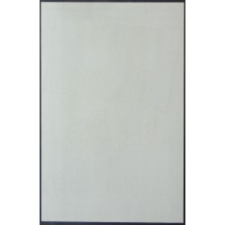 The Byrds 1970 Boston Tea Party concert poster - illustraction Gallery