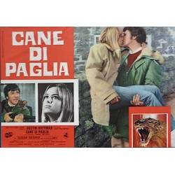 Straw Dogs Italian fotobusta movie poster set - illustraction Gallery