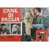 Straw Dogs Italian fotobusta movie poster set - illustraction Gallery
