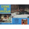 Straw Dogs Italian fotobusta movie poster set - illustraction Gallery