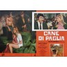 Straw Dogs Italian fotobusta movie poster set - illustraction Gallery
