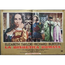 Taming Of The Shrew Italian fotobusta movie poster set - illustraction Gallery