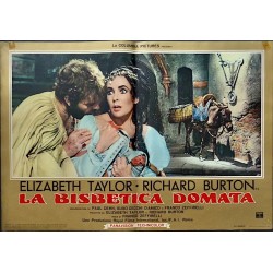 Taming Of The Shrew Italian fotobusta movie poster set - illustraction Gallery