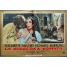 Taming Of The Shrew Italian fotobusta movie poster set - illustraction Gallery