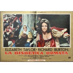 Taming Of The Shrew Italian fotobusta movie poster set - illustraction Gallery