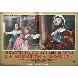 Taming Of The Shrew Italian fotobusta movie poster set - illustraction Gallery