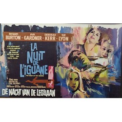 Night Of The Iguana (Belgian)