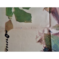 Luana (la figlia della foreste vergine) Italian movie poster - illustraction Gallery