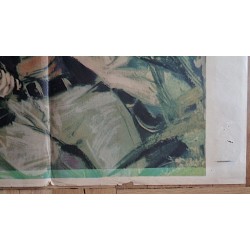 Luana (la figlia della foreste vergine) Italian movie poster - illustraction Gallery