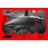 Jaws limited edition Variant print by Grzegorz and Krzysztof Domaradzki - illustraction Gallery