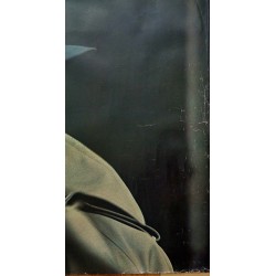 D'urban Men's fashion original 1970 Japanese advertising poster featuring Alain Delon - illustraction Gallery