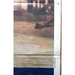 X-Rated Girl (il merlo maschio) Italian movie poster - illustraction Gallery