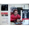 Splendor In The Grass Italian movie poster - illustraction Gallery
