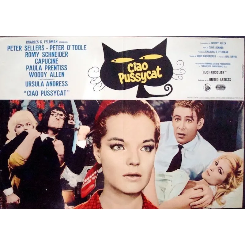 What's New Pussycat? Italian fotobusta movie poster - illustraction Gallery
