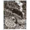 The Jungle Book limited edition Mondo print by Brian Holt - illustraction Gallery