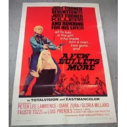 A Few Bullets More one sheet movie poster - illustraction Gallery