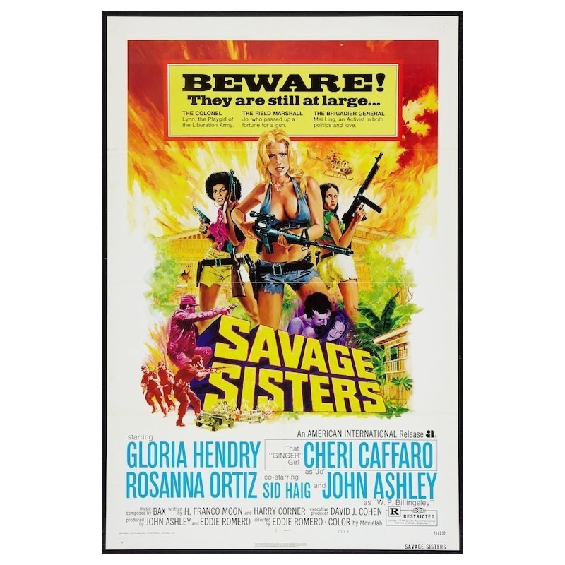 Savage Sisters One Sheet Movie Poster Illustraction Gallery